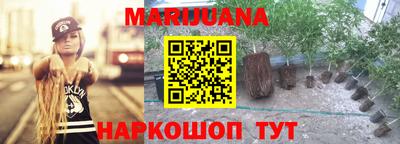 mdpv Кингисепп