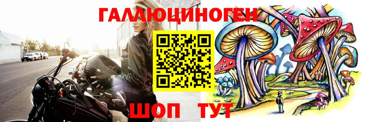 Галлюциногенные грибы MAGIC MUSHROOMS  Псилоцибиновые грибы прущие грибы  Клинцы  Вход с VPN 