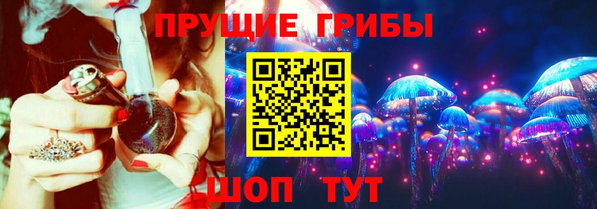 Галлюциногенные грибы Psilocybe Клинцы